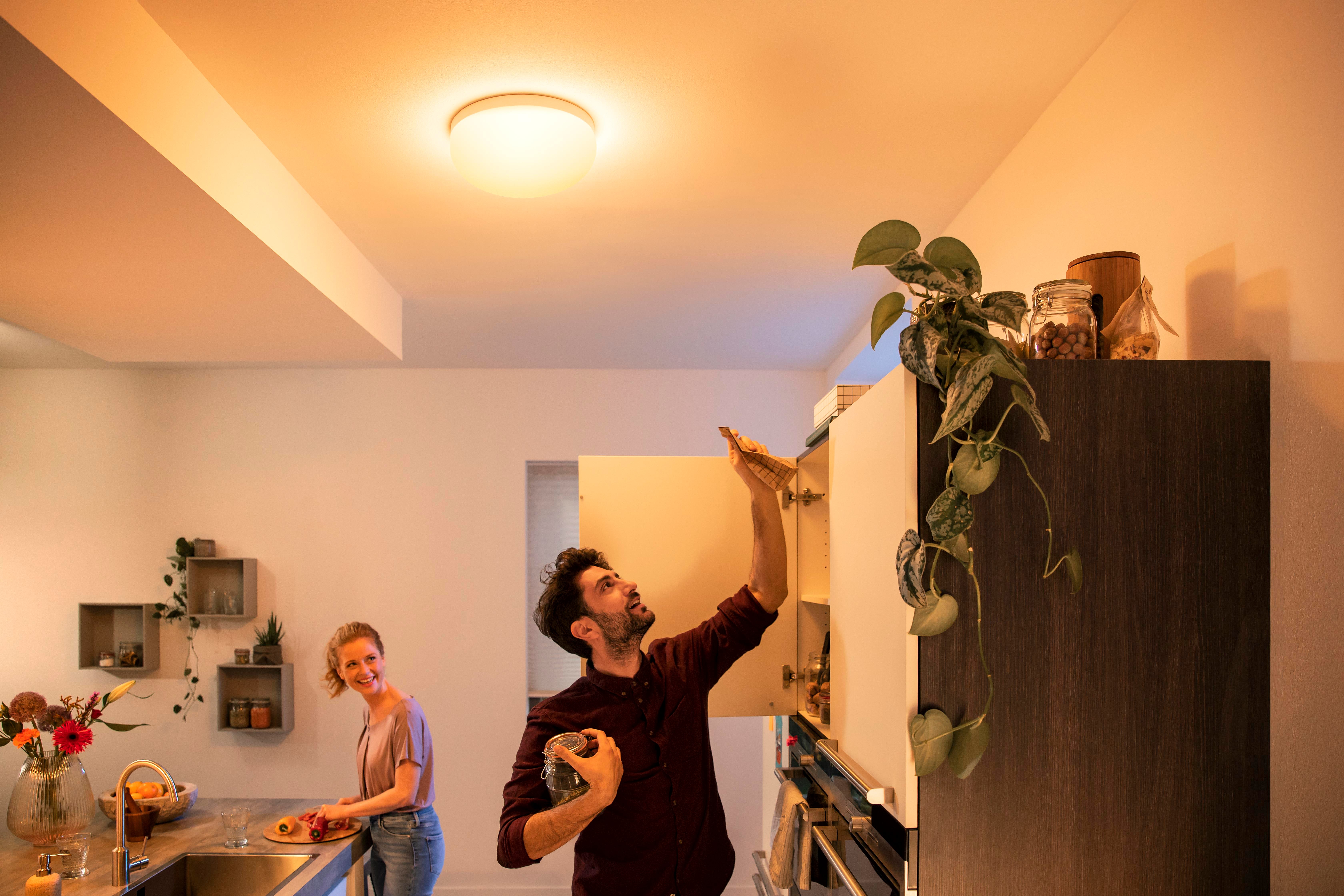 Philips Hue Flourish Taklampa White & Color - Philips Hue | Bellalite