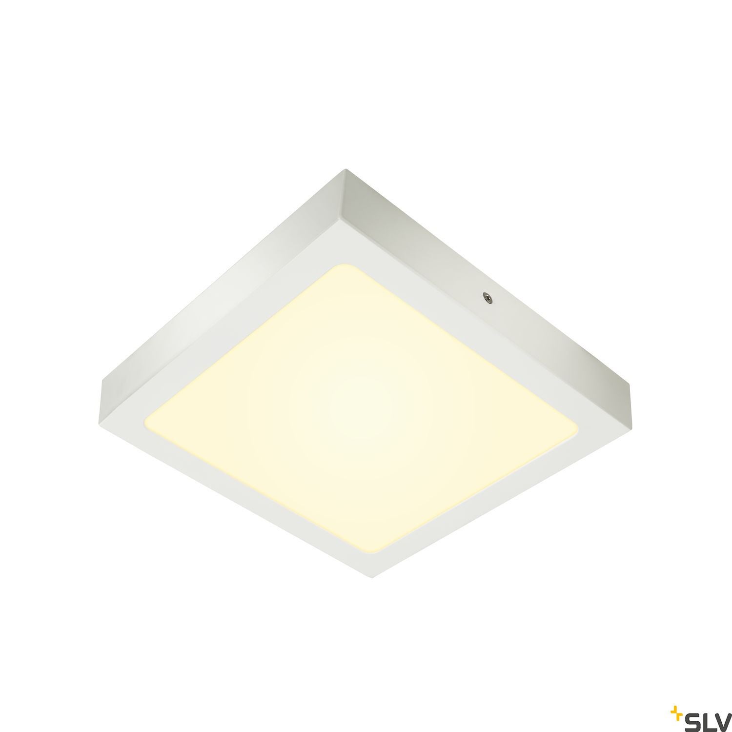 SENSER 24 Square - SLV | Bellalite