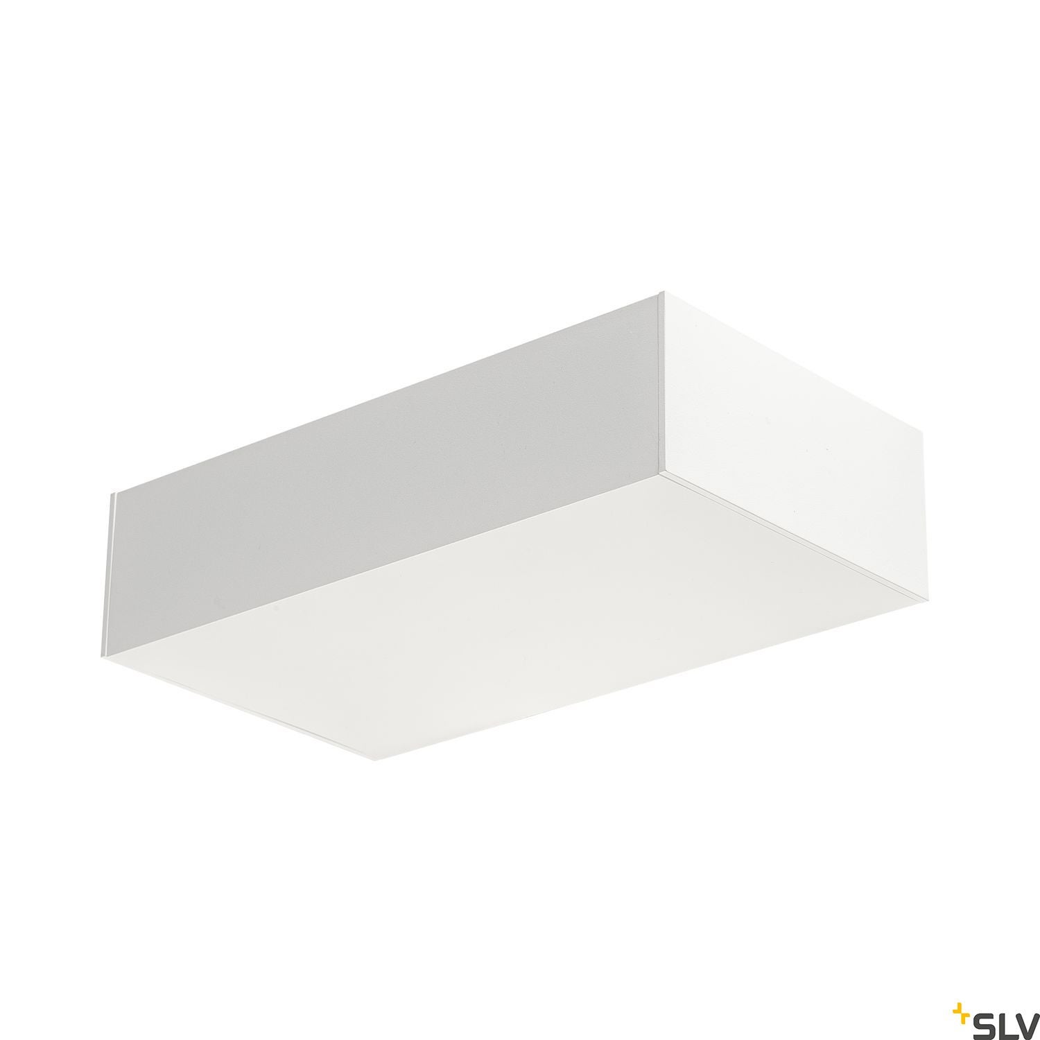 SHELL 30 - SLV | Bellalite