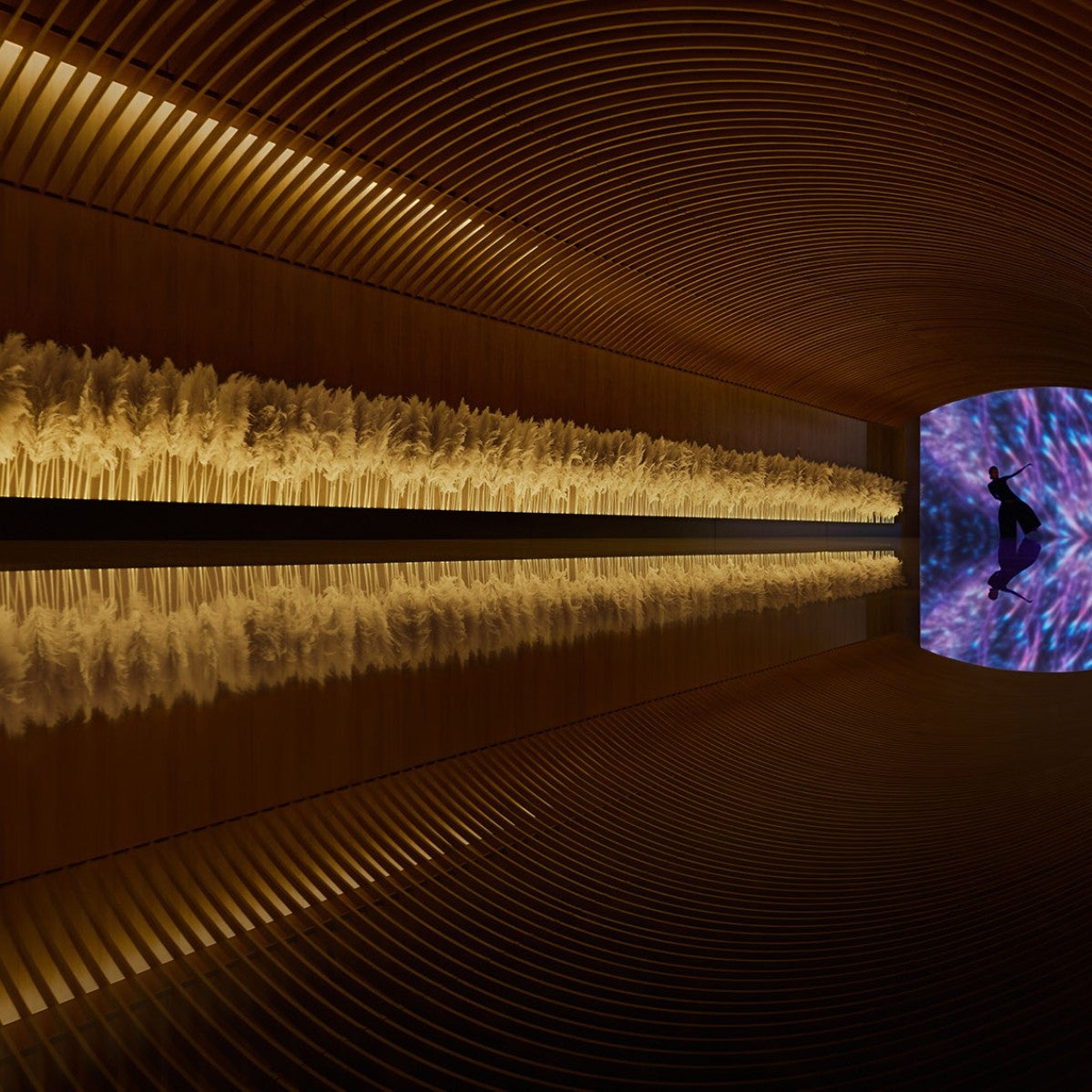 Colors LED-Strip DS860 24V 3000K 4,3W/m IP20 () 30m - Colors | Bellalite