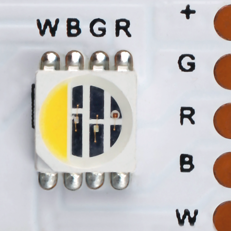Flex Strip RGBW 4-in-1 (2700K) 5m RGBW (W=2700K) - PROLED | Bellalite