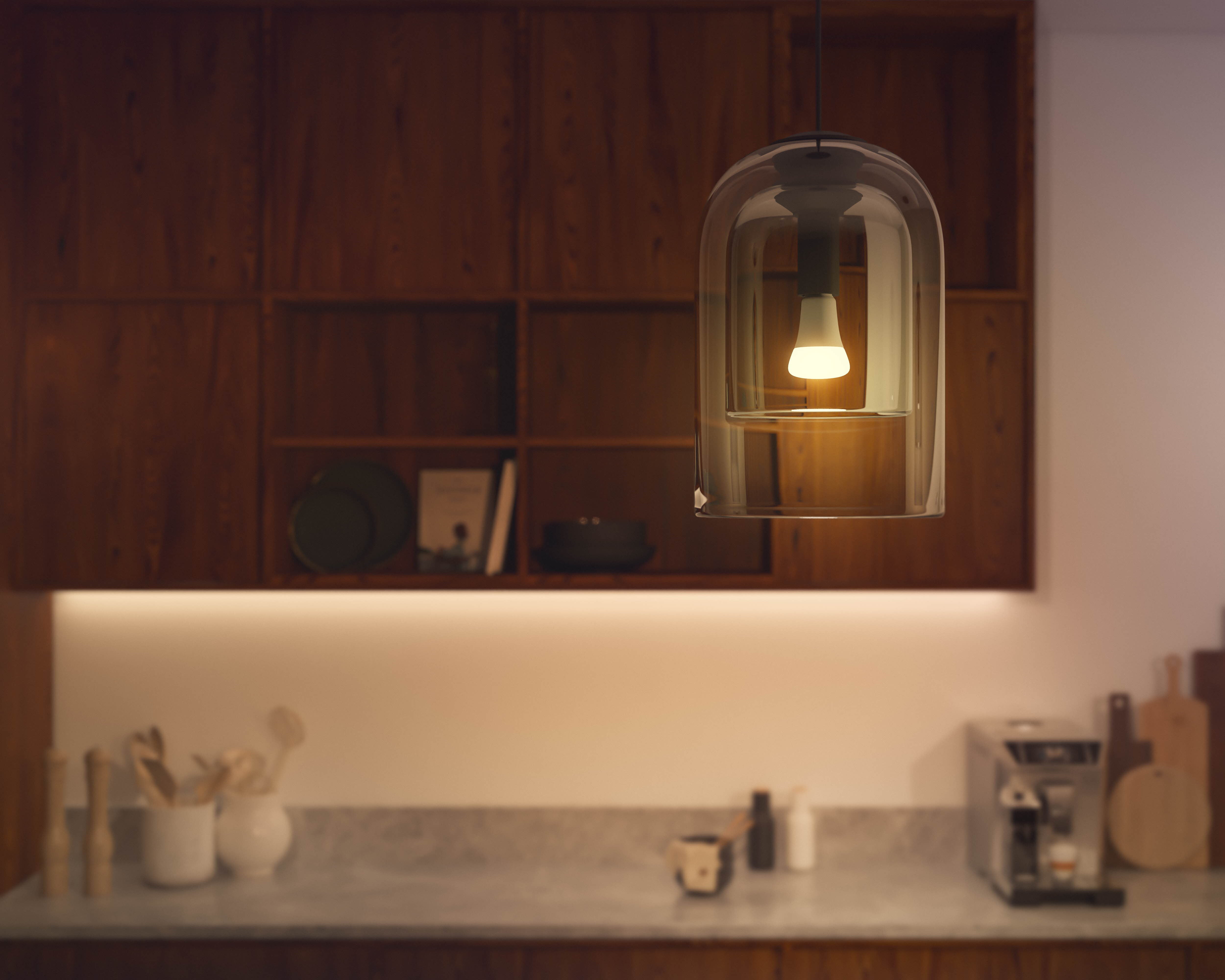 Philips Hue White Ambience E27 13W 2200K-6500K - Philips Hue | Bellalite