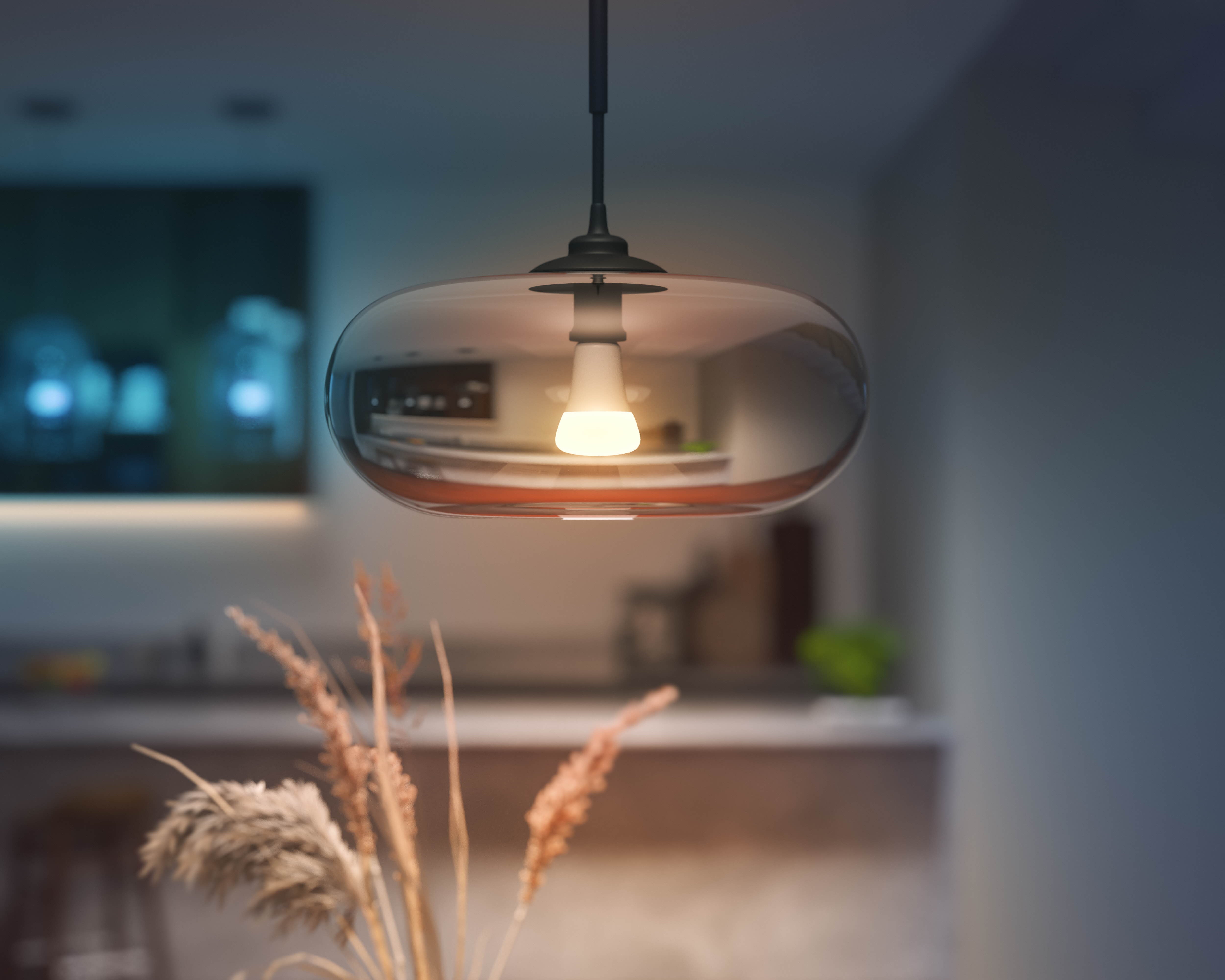 Philips Hue White & Color E27 13,5W 2000K-6500K + 16 million colors - Philips Hue | Bellalite