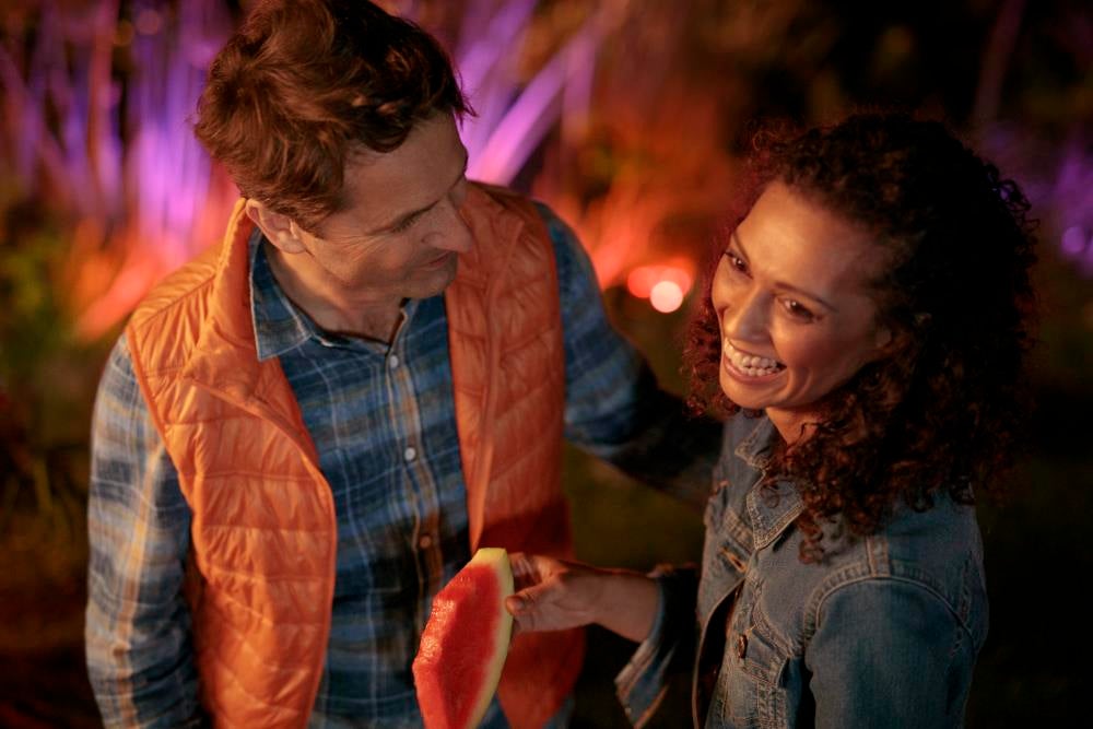 Philips Hue Lily Spike White & Color 3-pack - Philips Hue | Bellalite