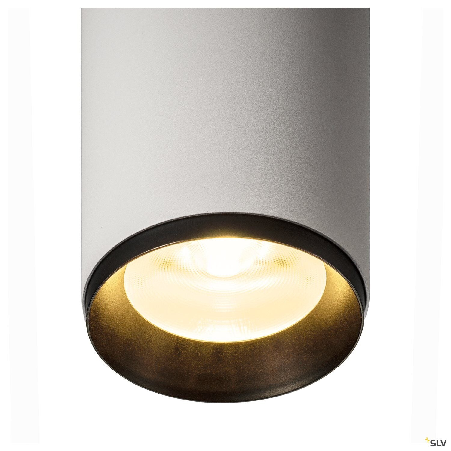 NUMINOS PD DALI L, Indoor LED pendant - SLV | Bellalite