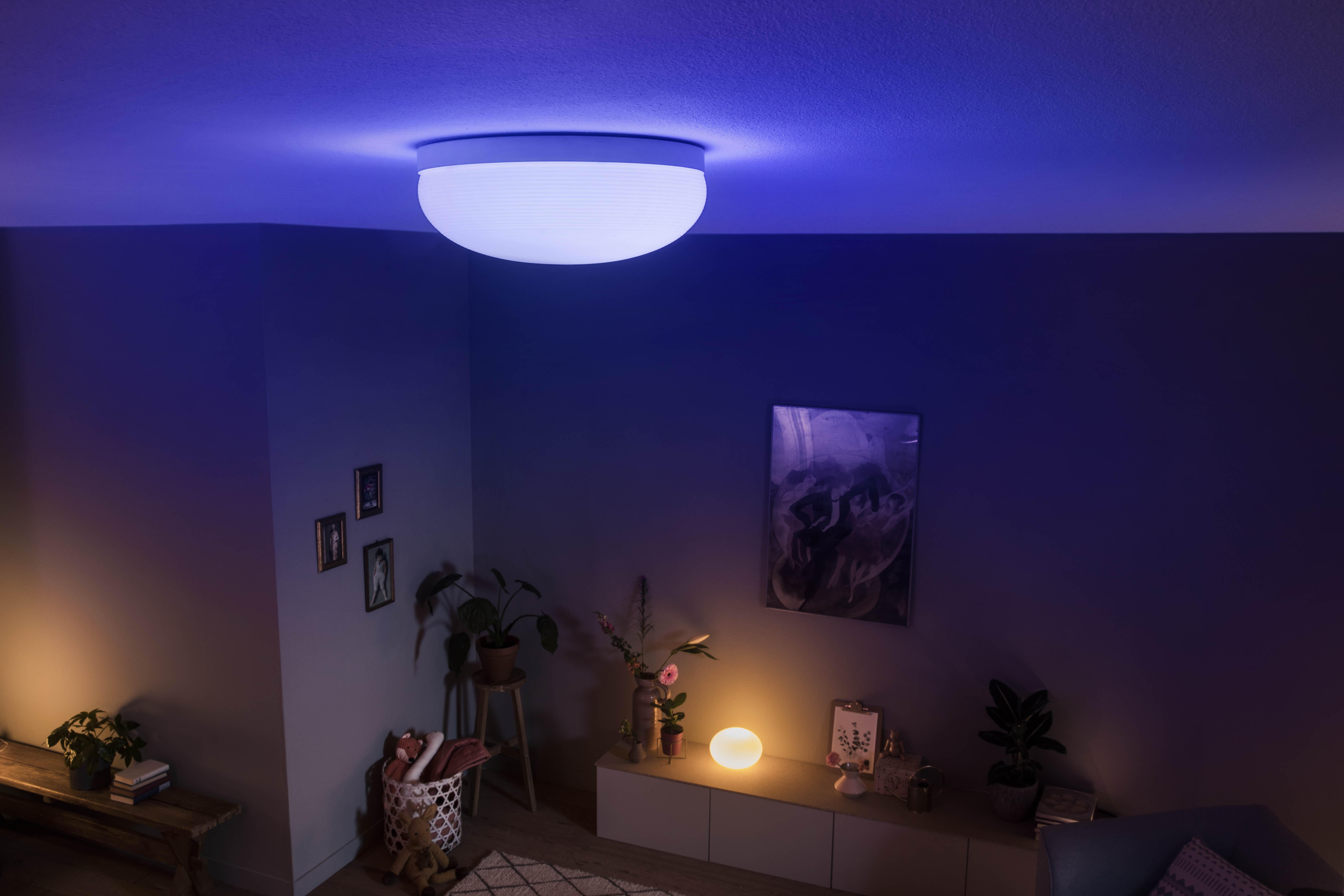 Philips Hue Flourish Taklampa White & Color - Philips Hue | Bellalite