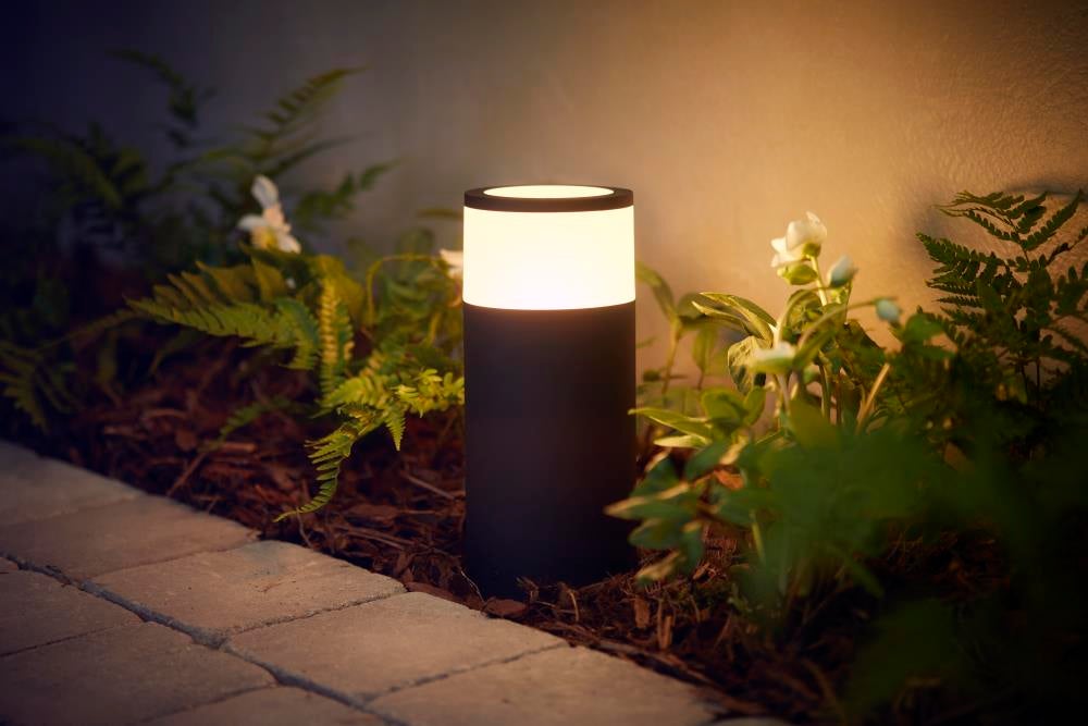 Philips Hue Calla Pollare White & Color Startpaket - Philips Hue | Bellalite