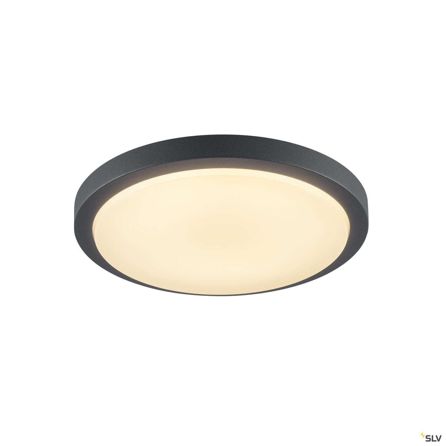 AINOS SENSOR - SLV | Bellalite