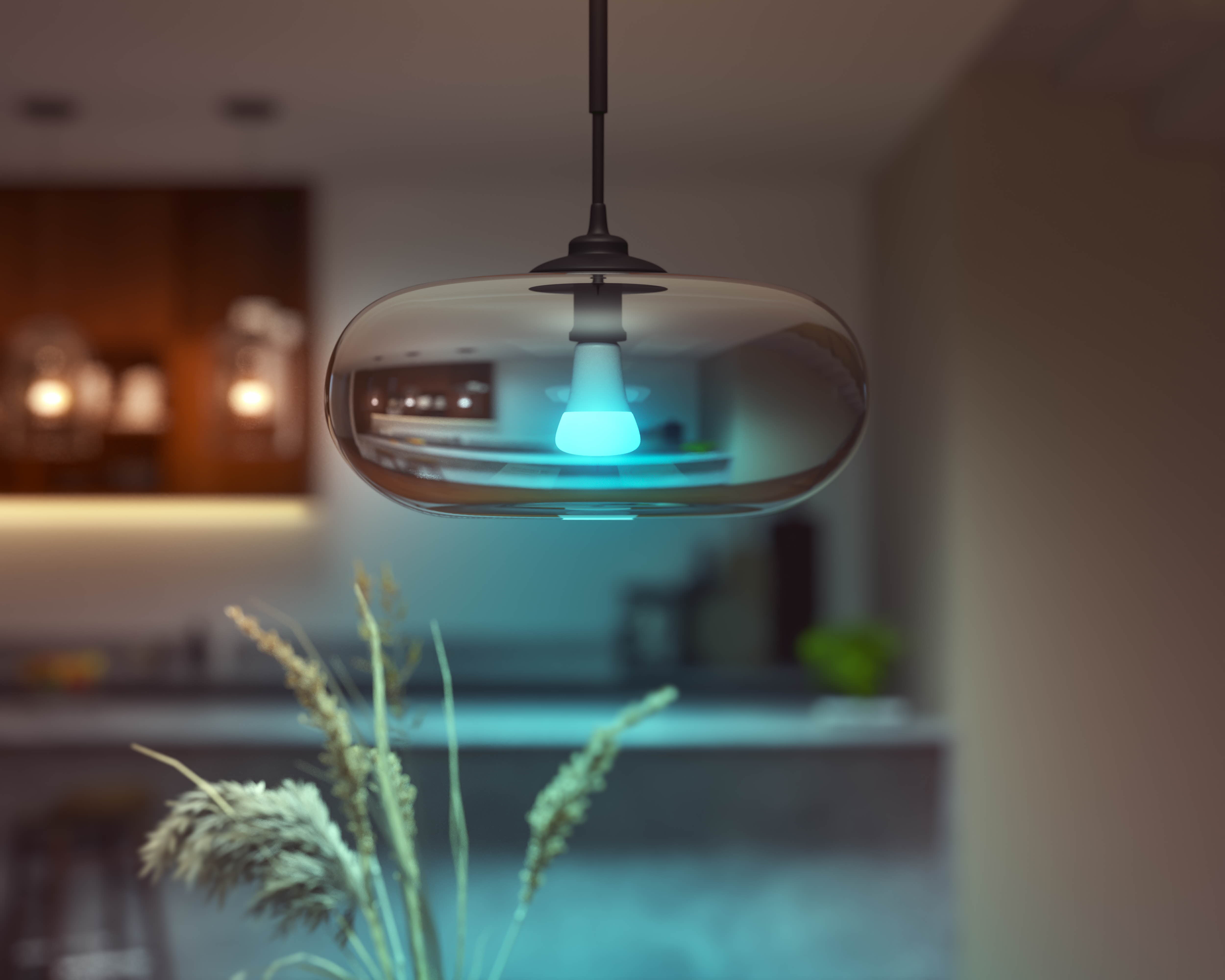 Philips Hue White & Color E27 13,5W 2000K-6500K + 16 million colors - Philips Hue | Bellalite
