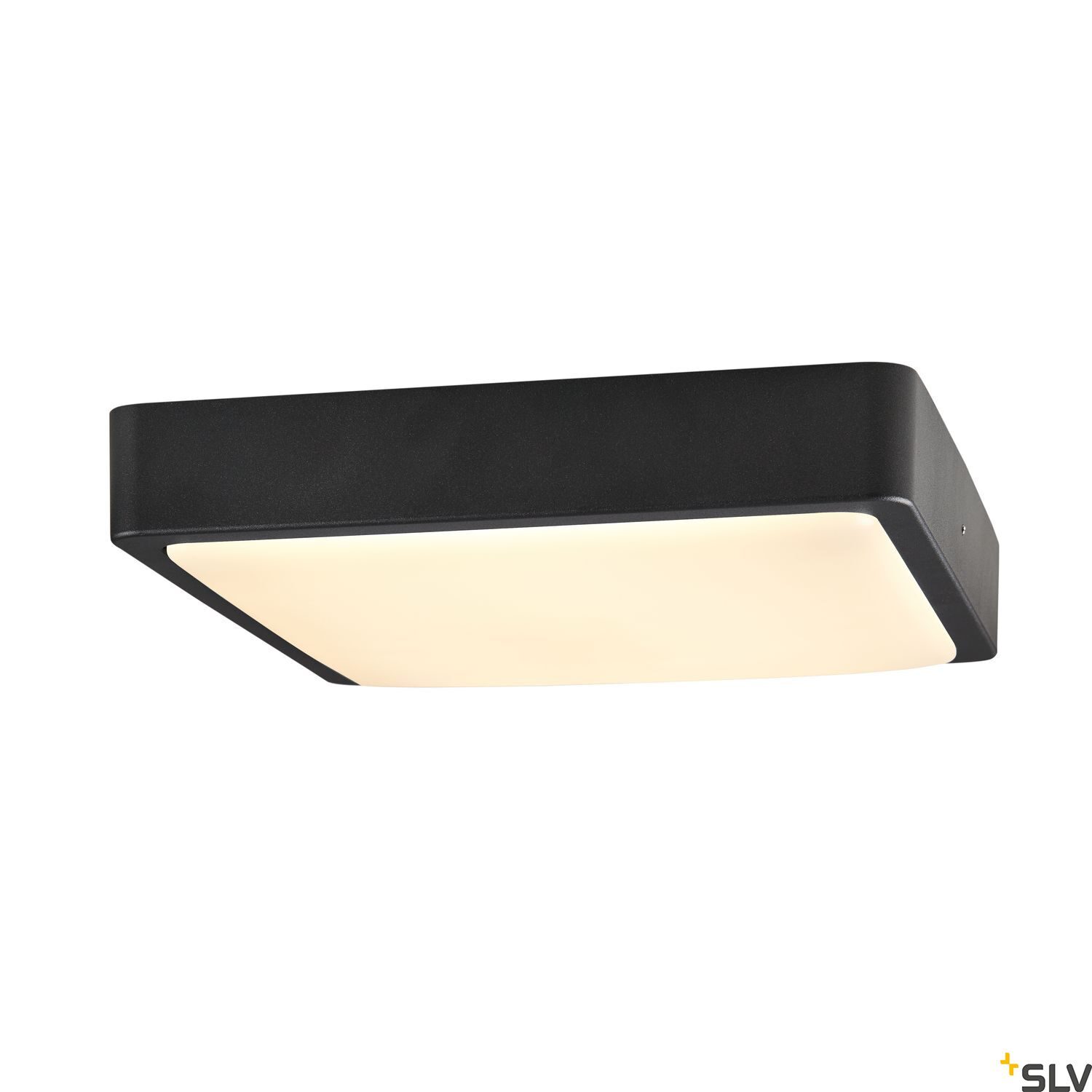 AINOS SQUARE - SLV | Bellalite