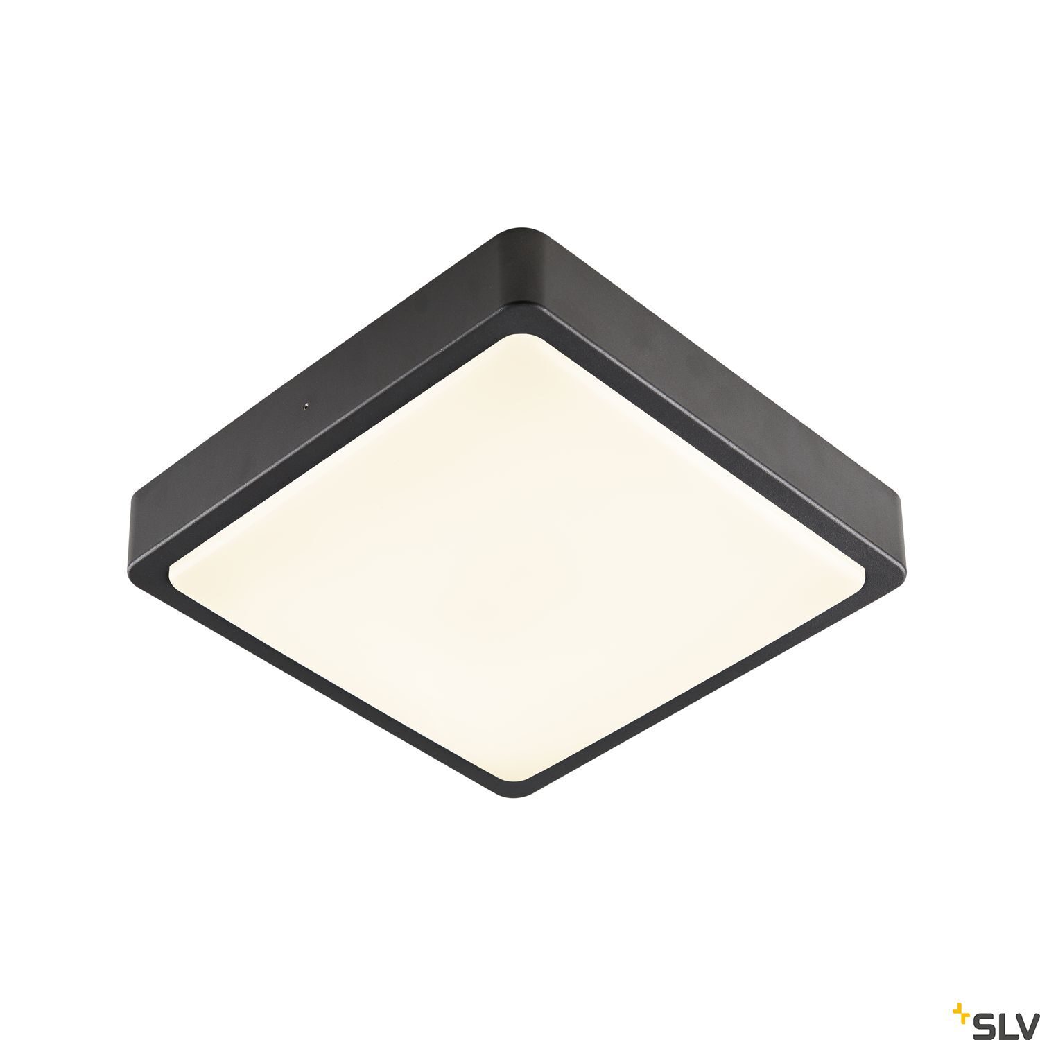 AINOS SQUARE - SLV | Bellalite