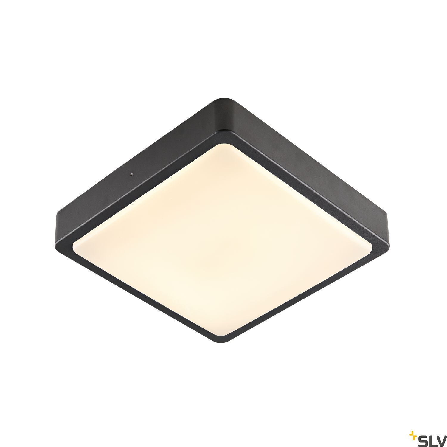 AINOS SQUARE - SLV | Bellalite
