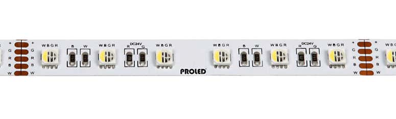 Flex Strip RGBW 4-in-1, per meter RGBW - PROLED | Bellalite Flex Strip RGBW 4-in-1, per meter RGBW - PROLED | Bellalite