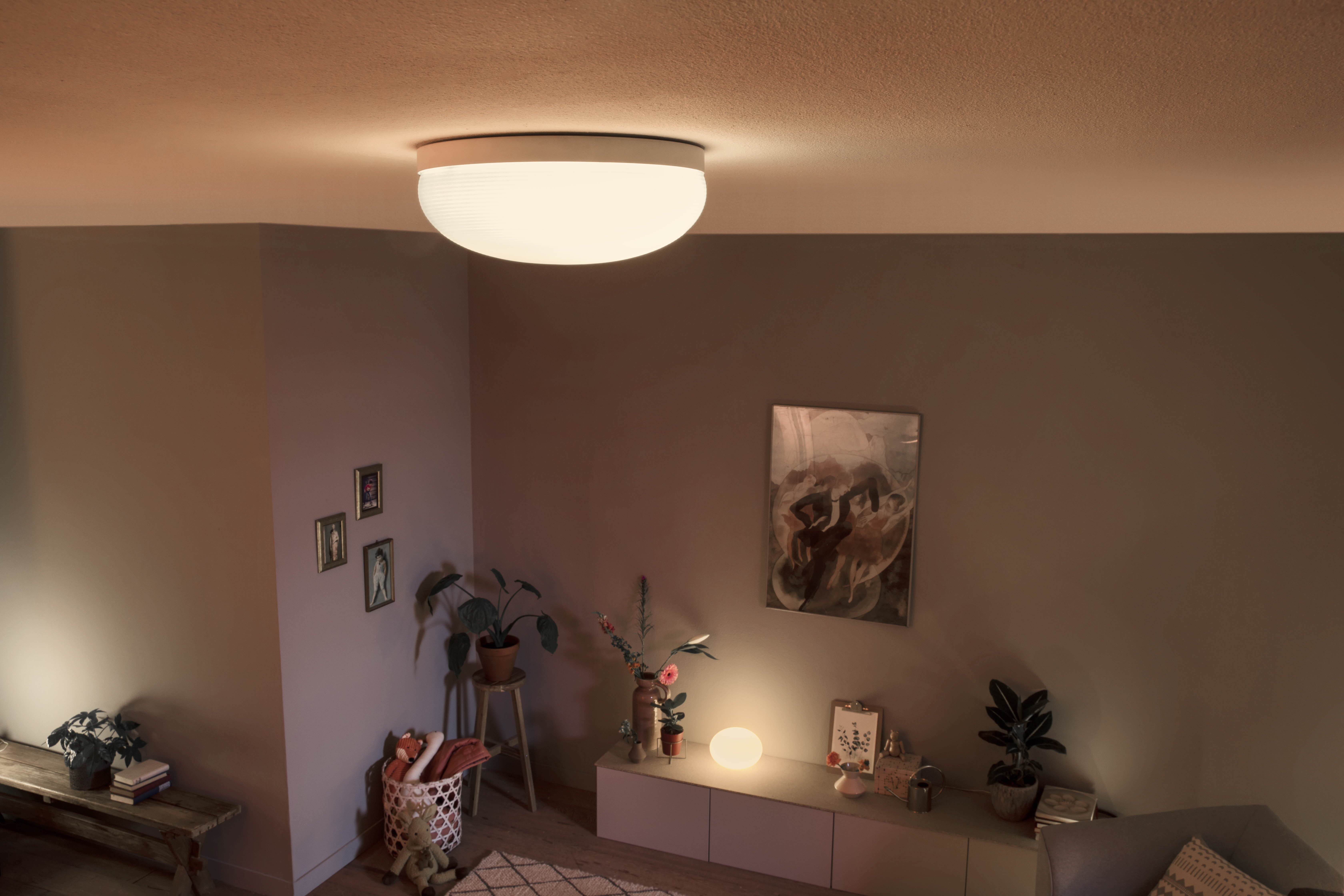 Philips Hue Flourish Taklampa White & Color - Philips Hue | Bellalite