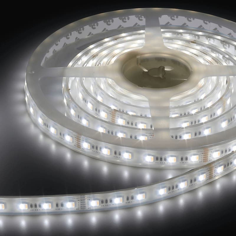 Flex Strip IP68 RGB+CCT 5-IN-1, per meter - PROLED | Bellalite Flex Strip IP68 RGB+CCT 5-IN-1, per meter - PROLED | Bellalite