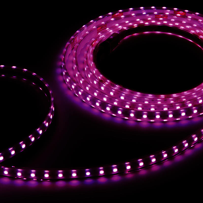 Flex Strip Xtreme RGB IP67 10m - PROLED | Bellalite