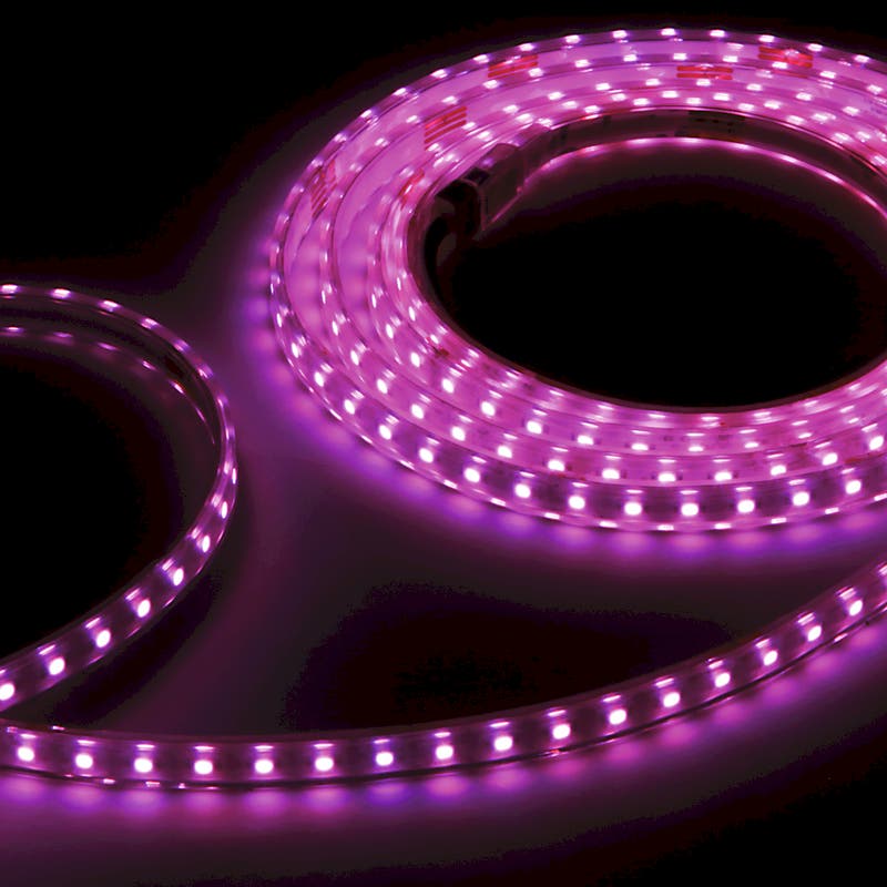 Flex Strip Xtreme RGB IP67 10m - PROLED | Bellalite Flex Strip Xtreme RGB IP67 10m - PROLED | Bellalite