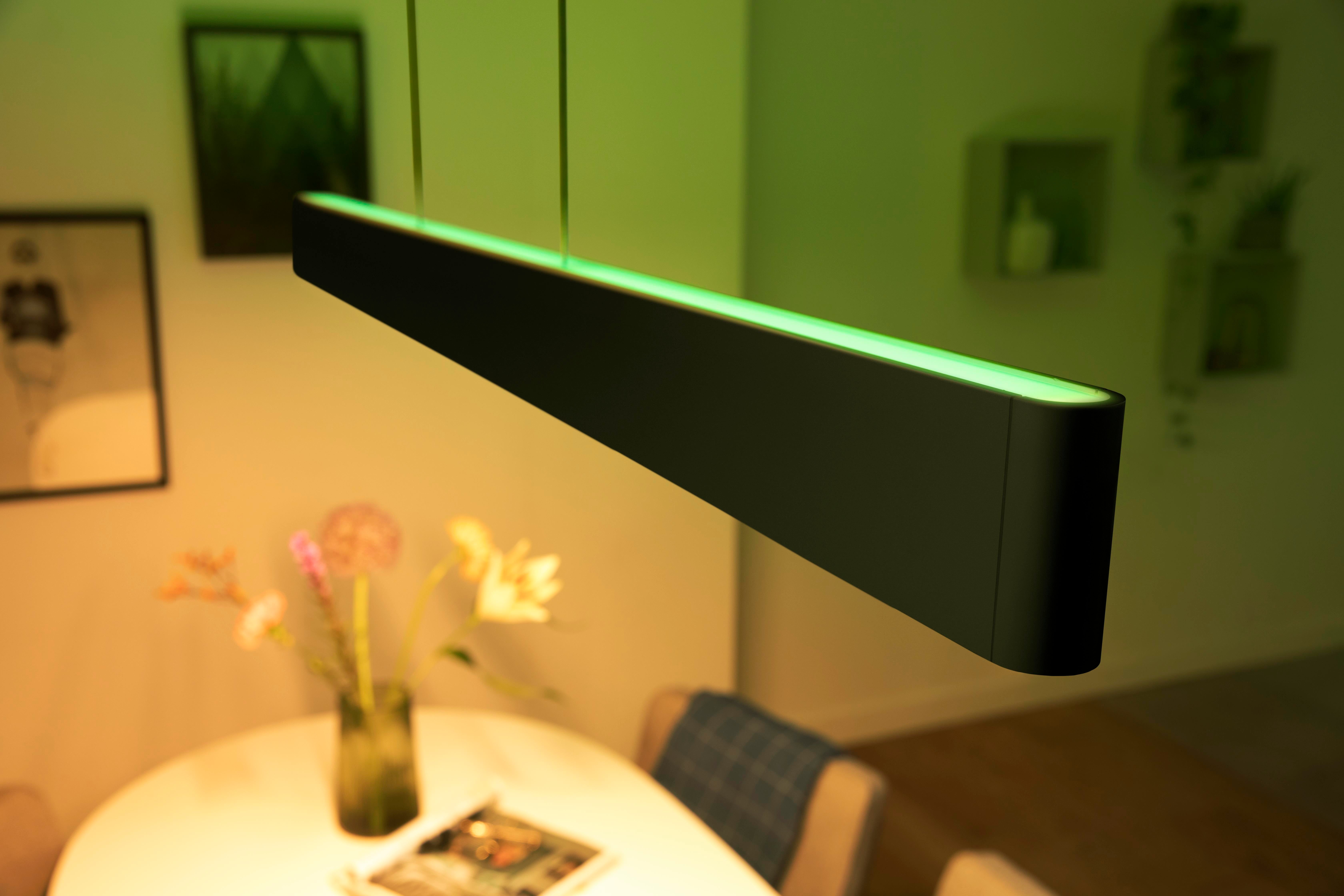 Philips Hue Ensis Pendel White & Color - Philips Hue | Bellalite