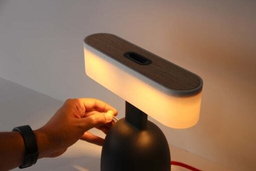 Heng Balance Coin Lamp  - Segula | Bellalite