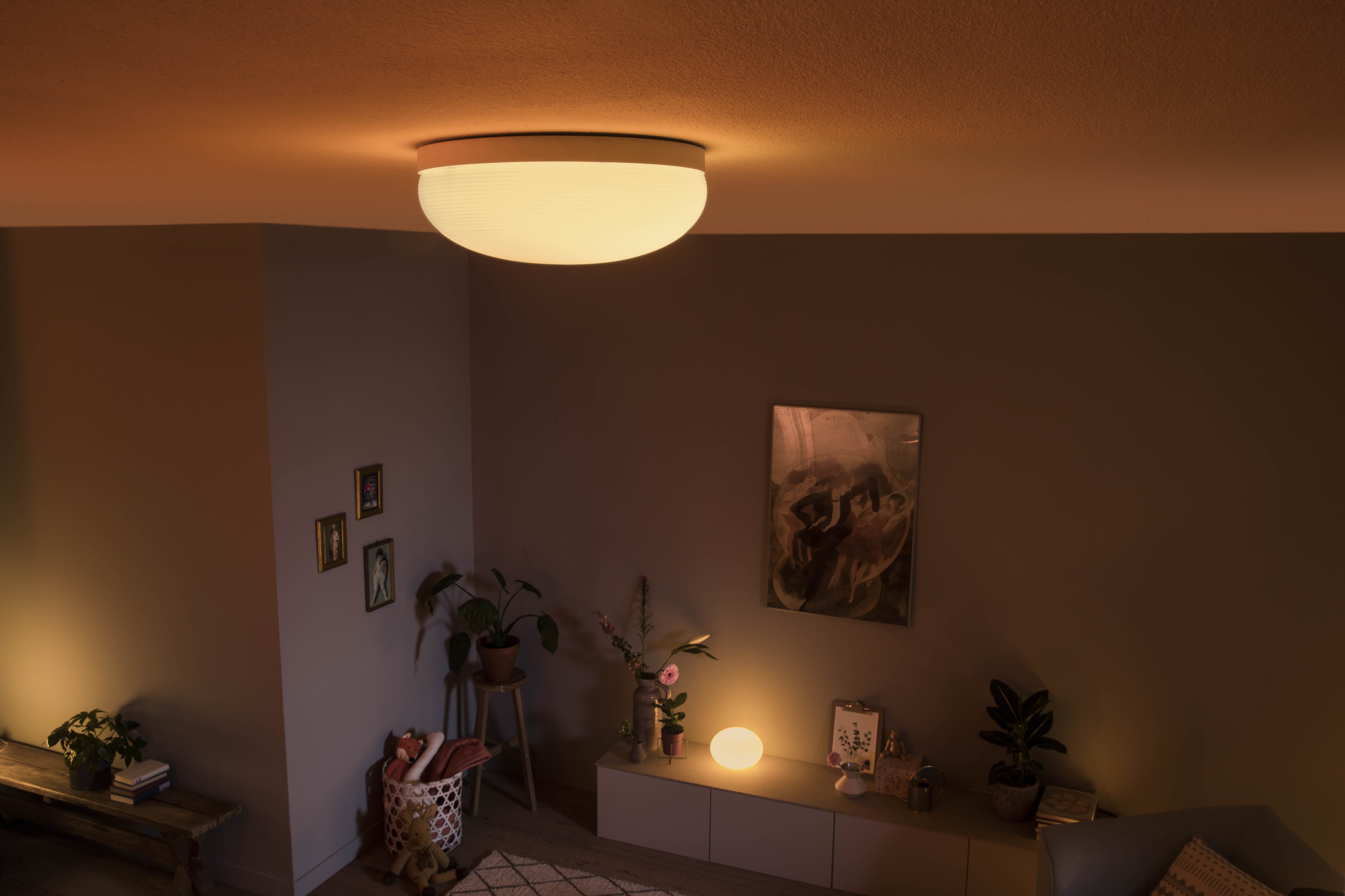 Philips Hue Flourish Taklampa White & Color - Philips Hue | Bellalite