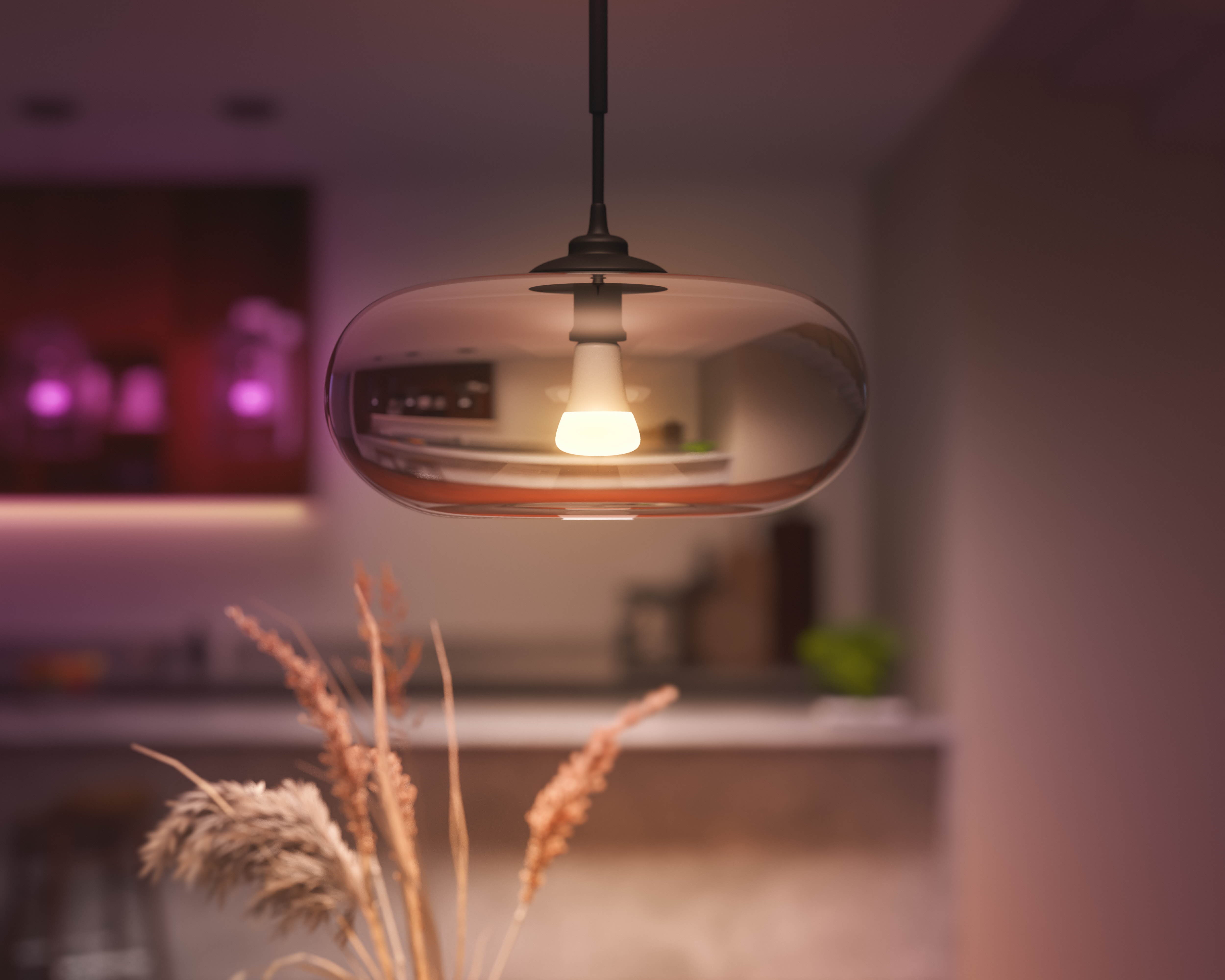 Philips Hue White & Color E27 13,5W 2000K-6500K + 16 million colors - Philips Hue | Bellalite