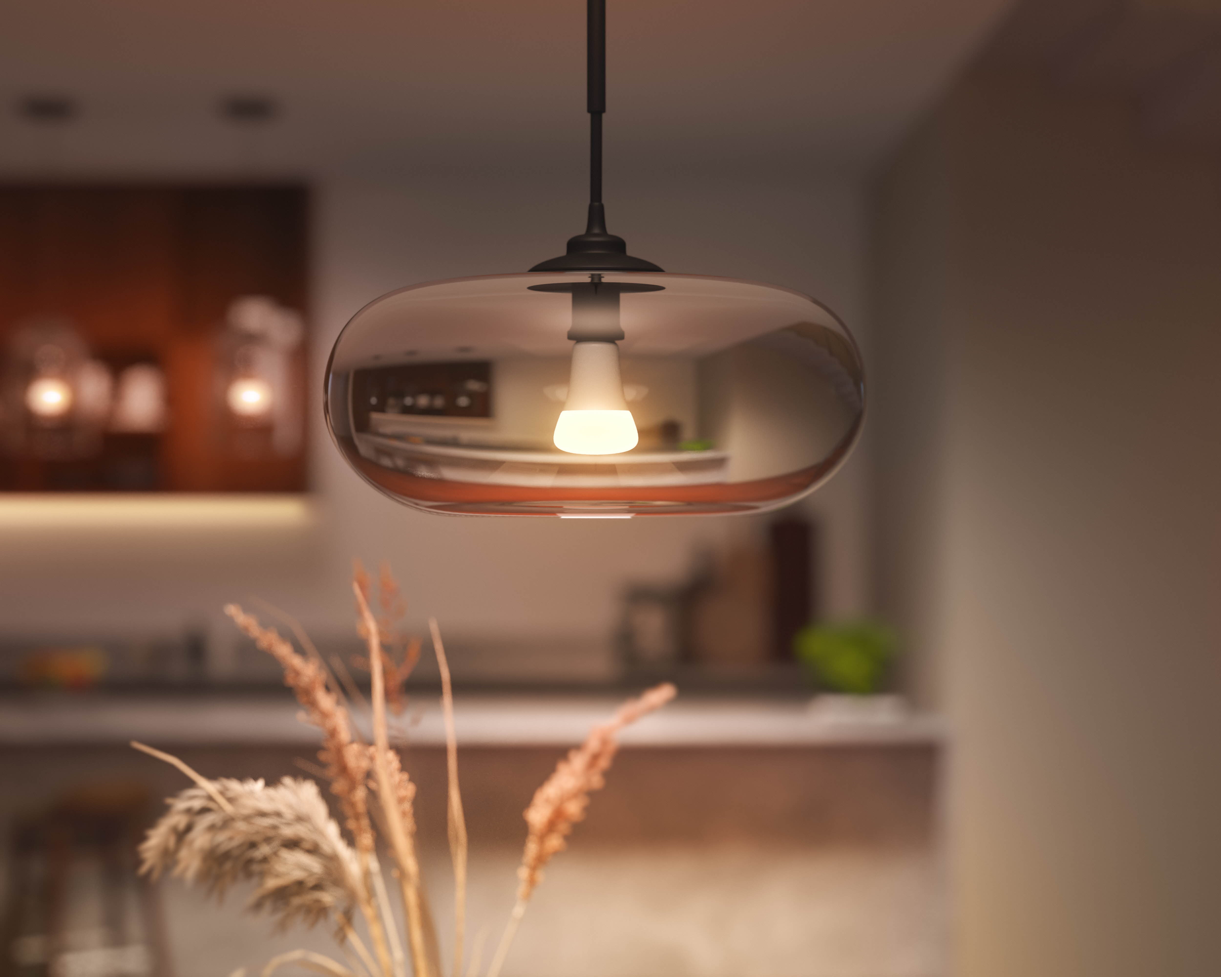 Philips Hue White & Color E27 13,5W 2000K-6500K + 16 million colors - Philips Hue | Bellalite
