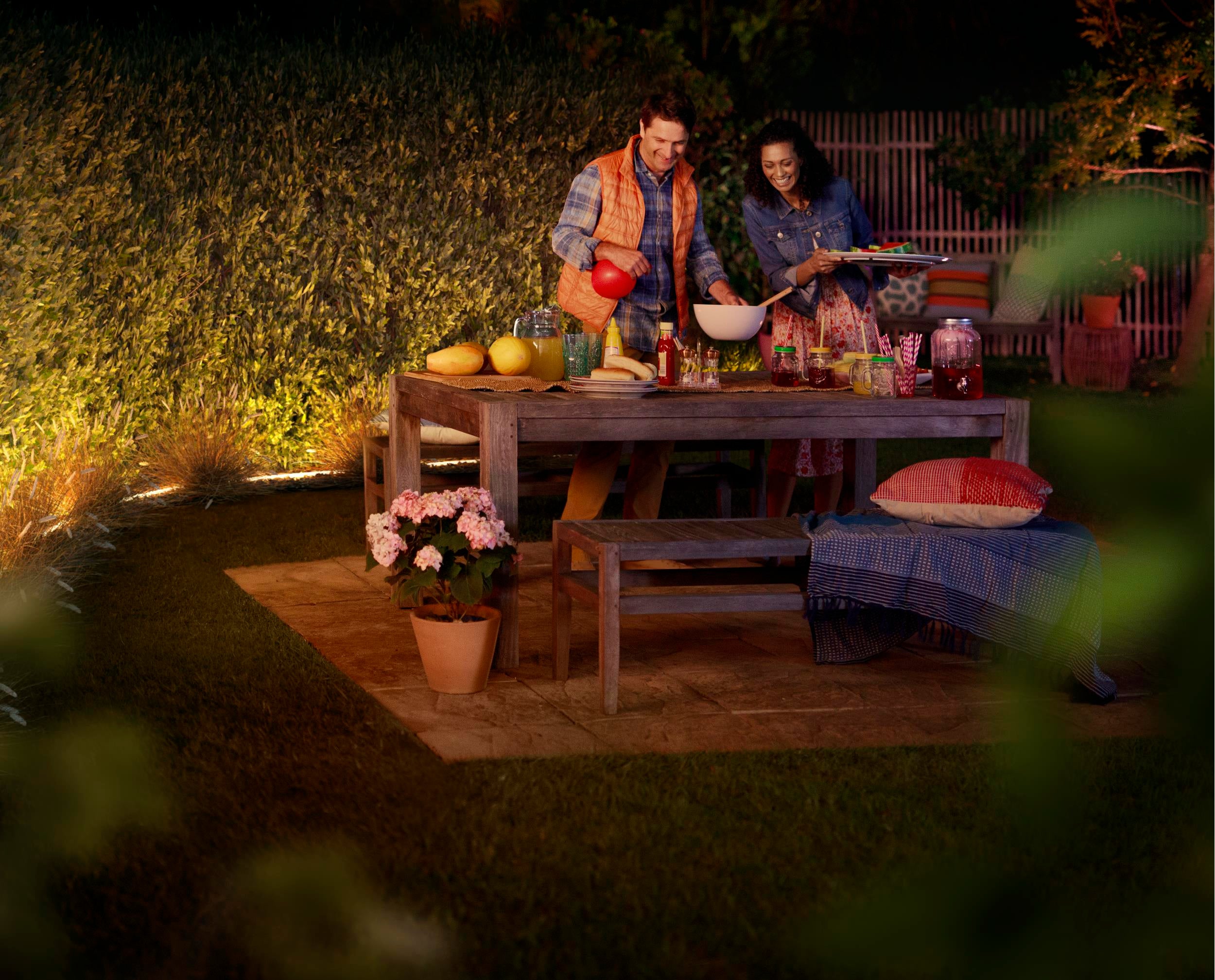 Philips Hue Lightstrip White & Color Outdoor - Philips Hue | Bellalite