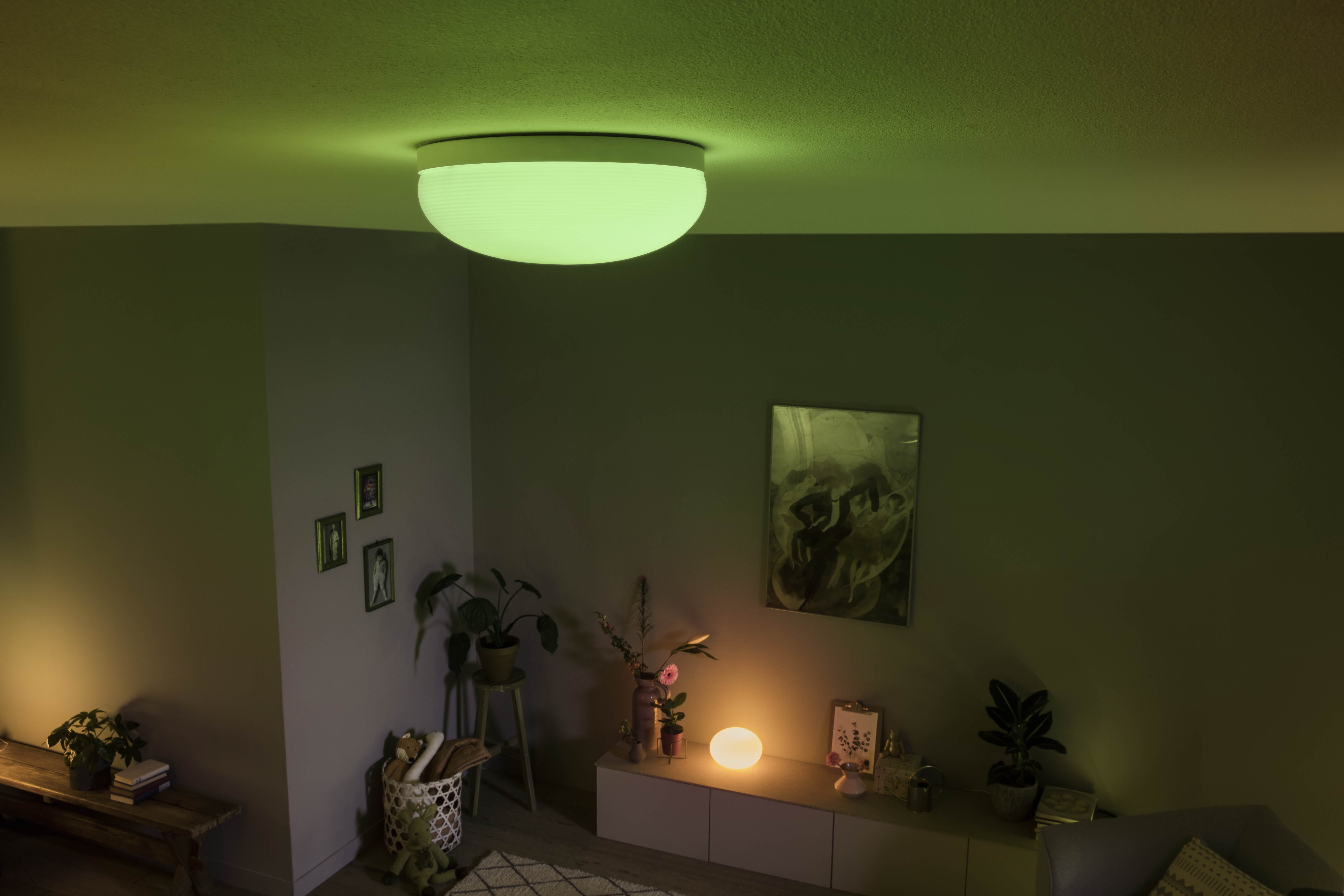 Philips Hue Flourish Taklampa White & Color - Philips Hue | Bellalite