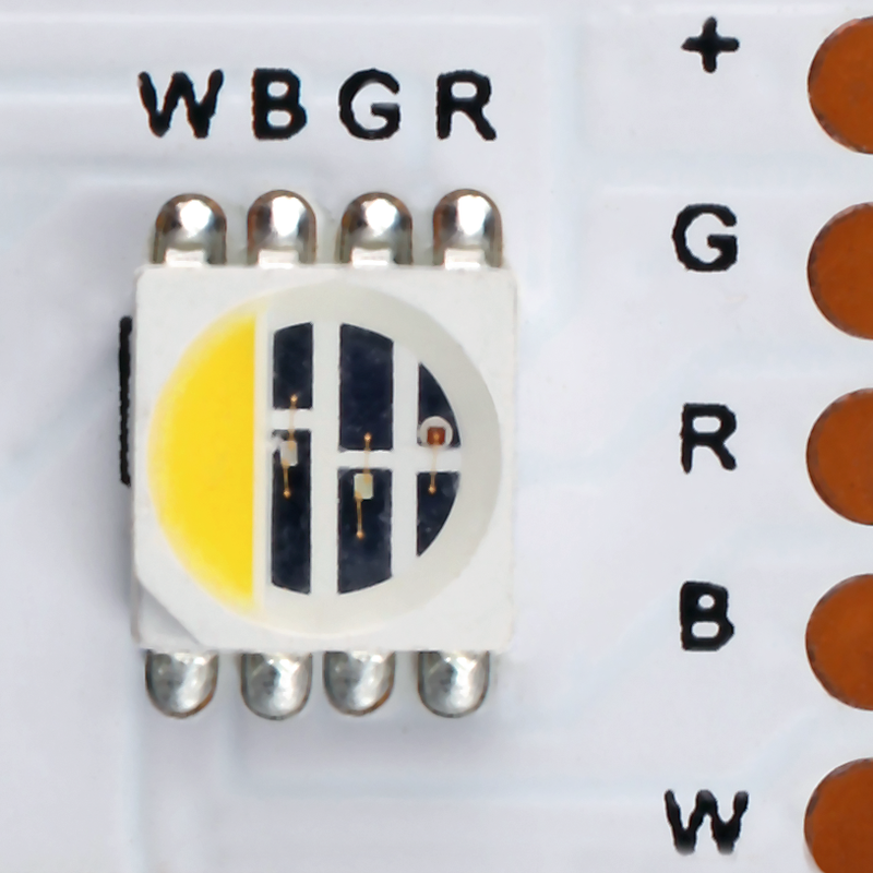 Flex Strip RGBW 4-in-1, per meter RGBW - PROLED | Bellalite