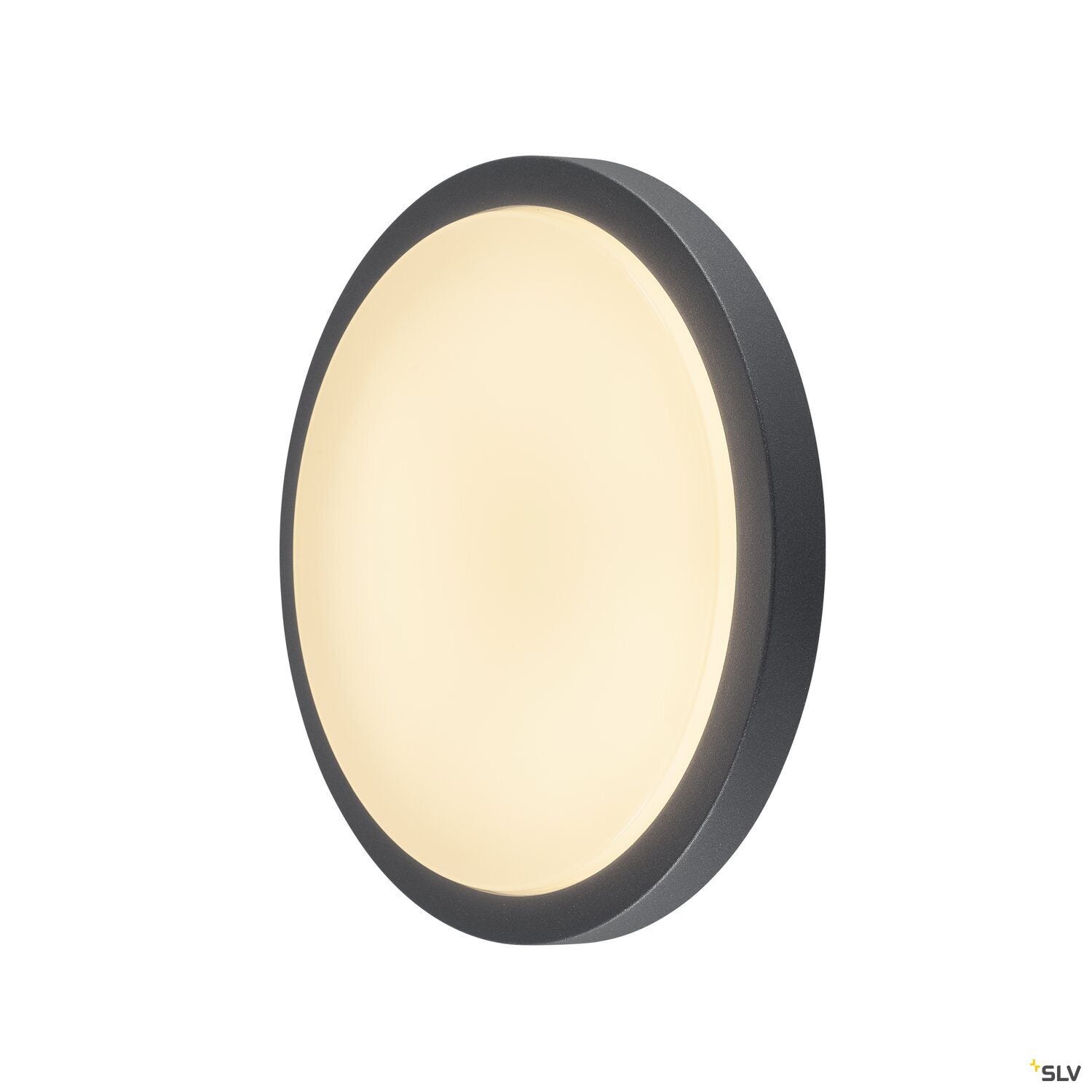 AINOS SENSOR - SLV | Bellalite