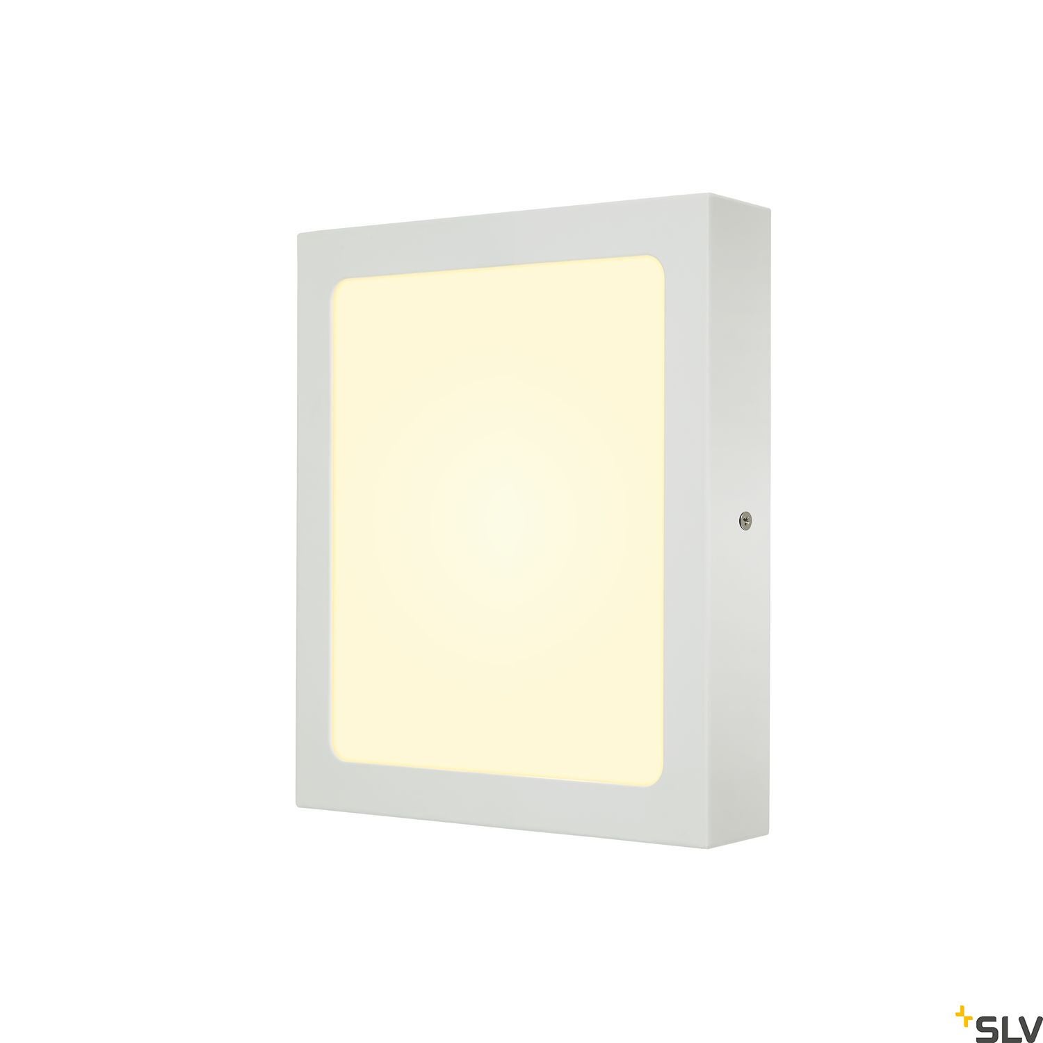 SENSER 24 Square - SLV | Bellalite