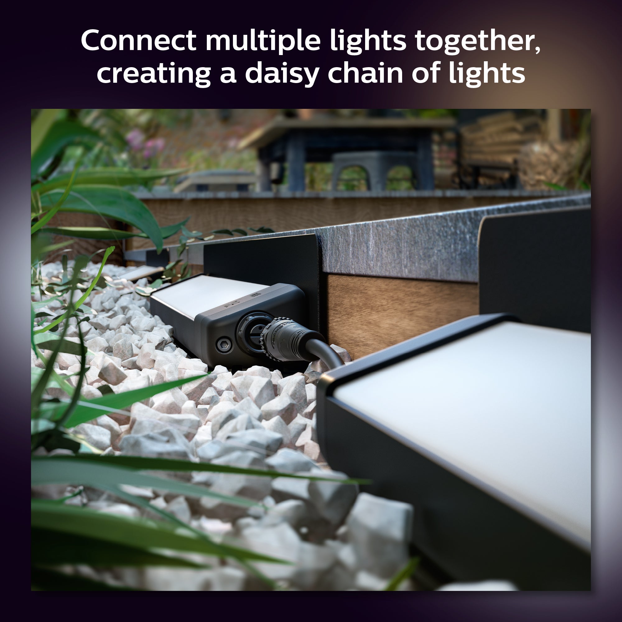 Philips Hue Amarant Floodlight White & Color - Philips Hue | Bellalite