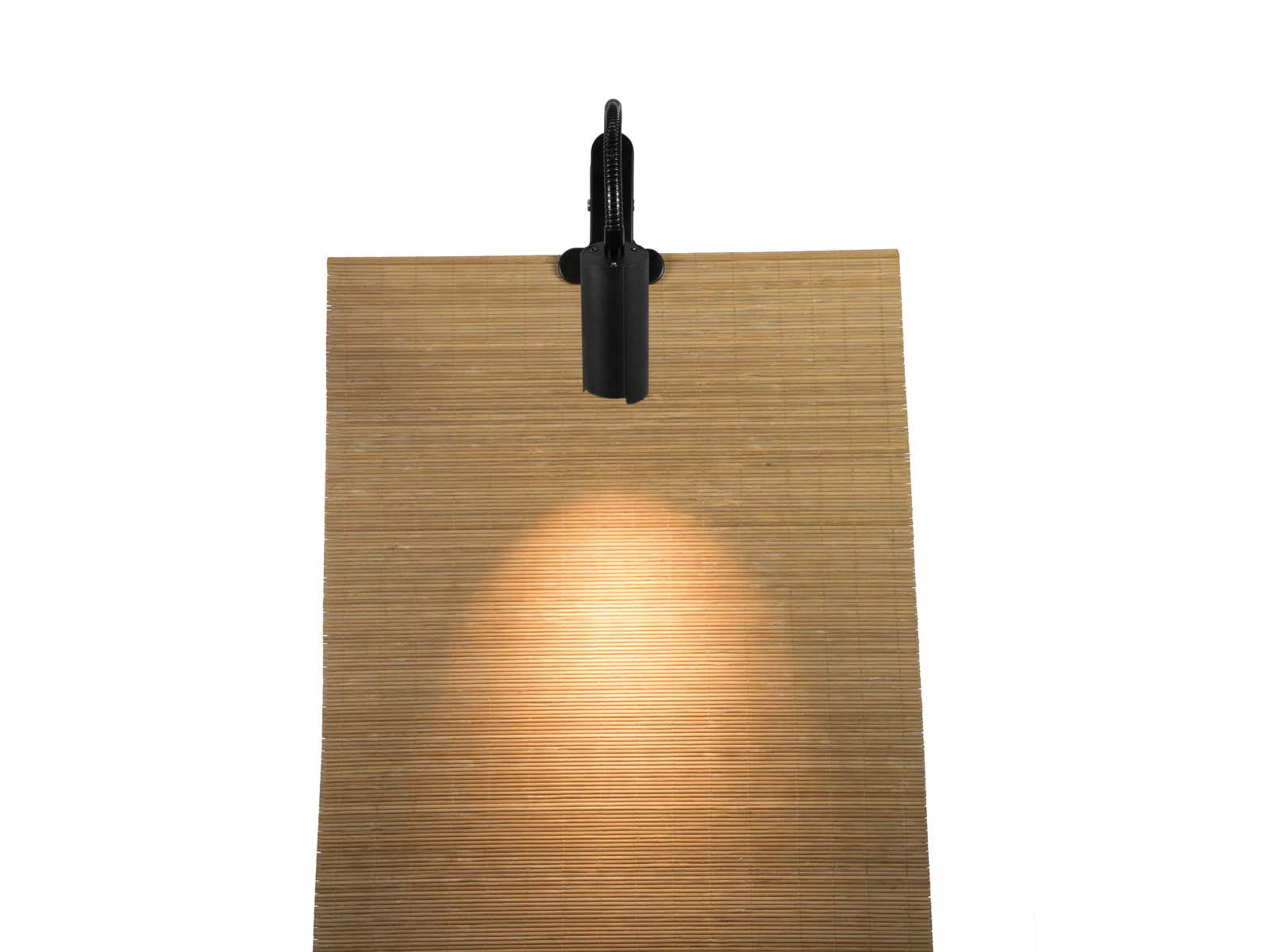 Display LED KKL-7 Spotlight 3000K Svart - Eurolite | Bellalite Display LED KKL-7 Spotlight 3000K Svart - Eurolite | Bellalite